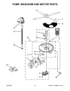 Circulation Pump & Motor Assembly