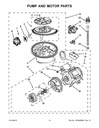 Circulation Pump & Motor