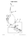Drain Pump Assembly