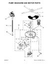 Pump and Motor
