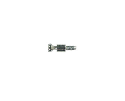 Bosch Refrigerator Fastener Bolt - 10001350