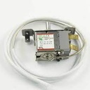 Temperature Control / Thermostat Kit - TCW2PF02