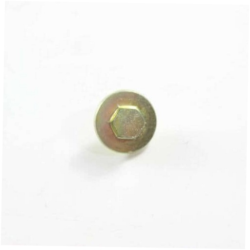 LG Dryer Screw - 1SZZEL3001A