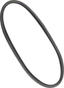 Igniter - IGN216