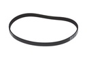 Coil Surface Element 6" - SREGE6