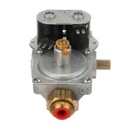 Thermal Fuse - TF19W3Y